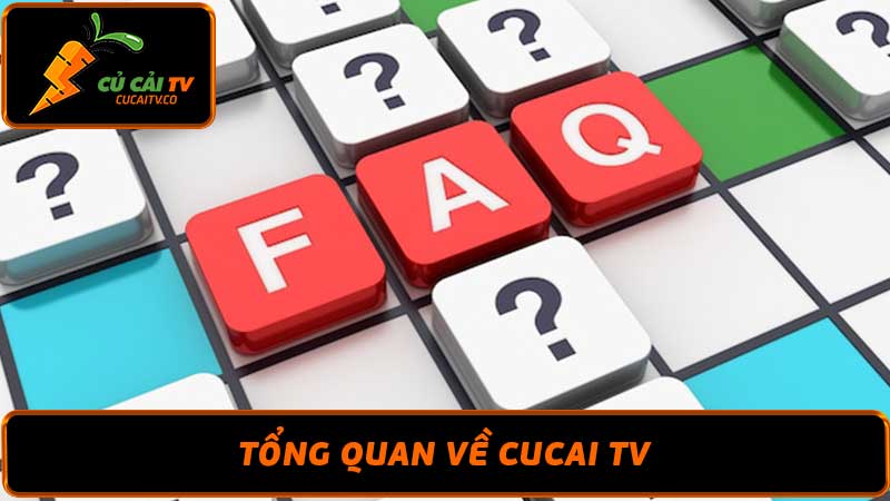 Câu hỏi thường gặp Cucai TV - Nếu Bạn Đang Thăc Mắc