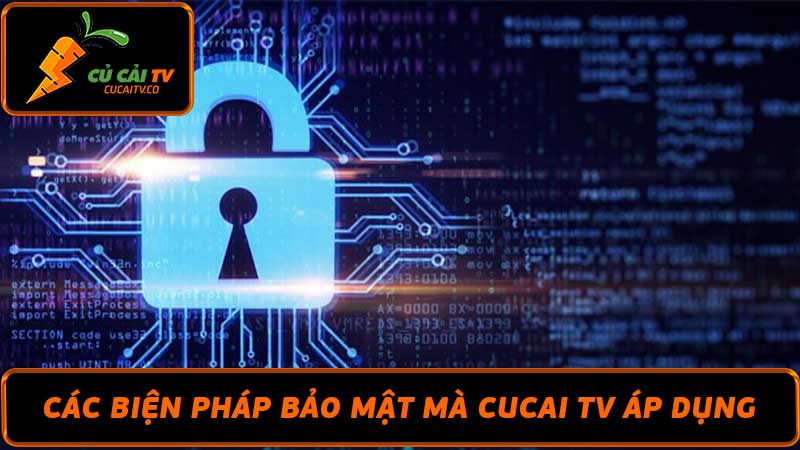 Chính sách bảo mật Cucai TV - Tầm Quan Trọng Qui Định Này