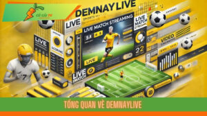 Khám Phá Thế Giới Demnaylive Nền Tảng Giải Trí Số 1