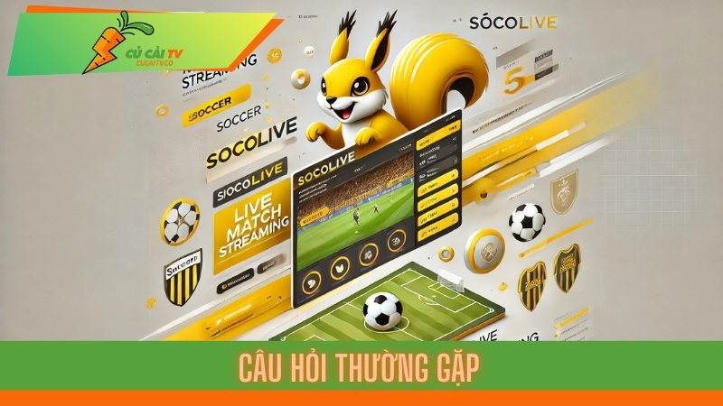 Trực Tiếp Socolive - Nền Tảng Giải Trí Hàng Đầu